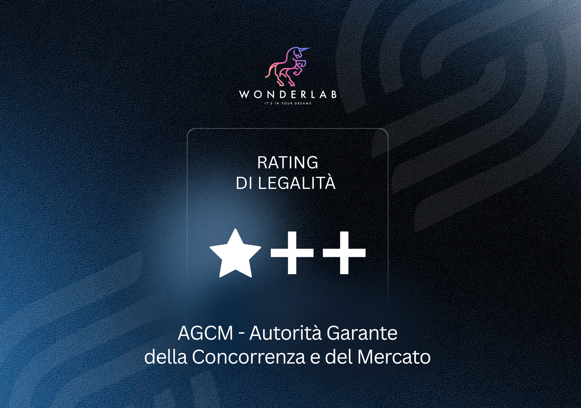 Grafica sito wl rettangolo  30 